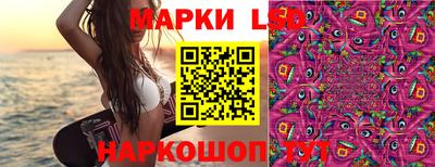 a pvp Кунгур
