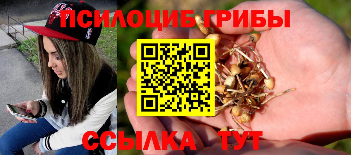 Псилоцибиновые грибы Psilocybine cubensis  Вход с VPN  Камень-на-Оби  наркошоп  Галлюциногенные грибы GOLDEN TEACHER 
